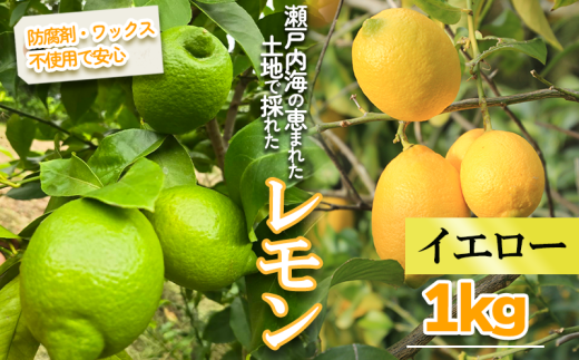 yQRszy2026N1菇zCG[ 1kg bʕ  t[c   EG VN 񂫂 k hܕsgp bNXsgp O[ [