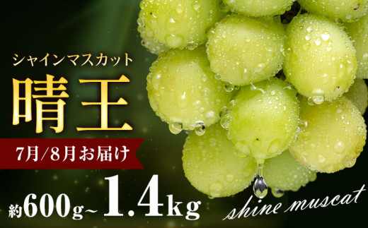 �y���R������s�z�Ԃǂ� �V���C���}�X�J�b�g ���� 600g 700g 1.2kg 1.4kg 1�[ 2�[ �ʔ��؉ʁs2026�N7����{-9�����{���o�ׁt �}�X�J�b�g �������� ���R�� ����s �t���[�c �ʕ� ���蕨 ���Y ���R���Y