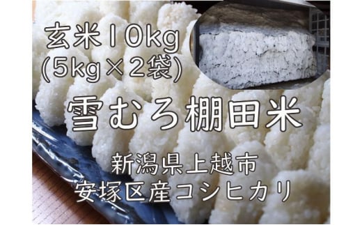 yVzszߘa7N VY Ic RVqJ  10kg 10L  (5kg×2) ᒆ ނ Ђ   V z  