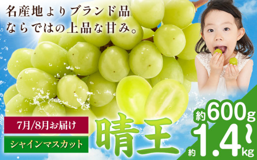 �y���R������s�z�y��s�\��z�V���C���}�X�J�b�g ���� 600g 700g 1.2kg 1.4kg 1�[ 2�[ �}�X�J�b�g���R�s2026�N7����{-9�����{���o�ׁt���R�� ����s �������� �t���[�c �ʕ� �}�X�J�b�g ������