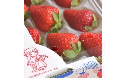 yޗǌqzE!ӂ邳Ɣ[ŏq@ޗǌuh䕁uÓs؁v250g×2pbN(2Lȏ)y1328296z