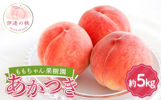 2026年出荷分先行予約】福島県産 あかつき 約5kg (13～18玉
