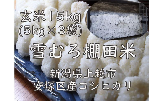 令和7年 新潟県産 棚田米 コシヒカリ 玄米 15kg 15キロ (5kg×3袋) 雪中 