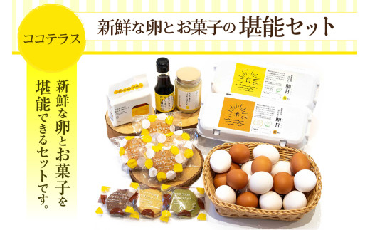 ココテラスの新鮮な卵とお菓子の堪能セット - 愛知県常滑市｜ふるさと