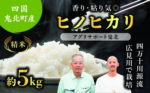 先行予約】【令和7年度産新米】ヒノヒカリ 約5kg （精米済み） | 精米