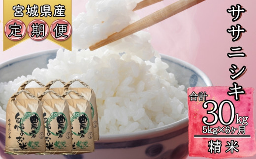 令和6年産 ササニシキ 30kg 　　　　　　　　　　本当にうめぇ～お米 令和6年産 ササニシキ 30kg ブランド 品 通販