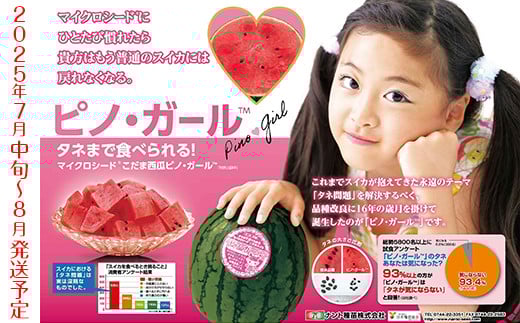 ６５５５円・６～８玉・第２弾・数量限定・ピノガール「小玉スイカランキング第１位」 6555円・6～8玉・第2弾・数量限定・ピノガール「小玉