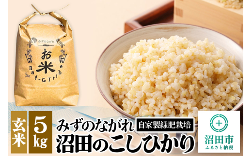 令和6年産 沼田のこしひかり「みずのながれ」玄米 5kg