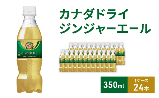カナダドライ ジンジャーエール 350ml 1ケース 24本 ペットボトル