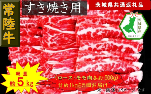 y錧szy5ցzy헤zĂp 1kgyցzv5 ʖ5kgi錧ʕԗijy헤@錧Y@sz