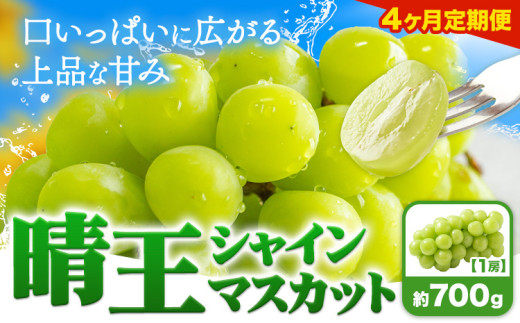 yRszy4ցzԂǂ VC}XJbg  700g 1[ }XJbgRs7{-10oׁtR s  t[c ʕ }XJbg 񂹃t[cy