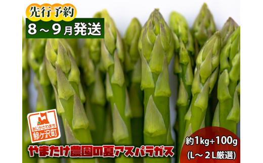 yX˃򒬁zAXpKX s\ ăAXpKX 1kg+100g L`2L I ܂_ AXp O[AXp  Ė  { {̖ Yn 2026N 2026 s \ X ①