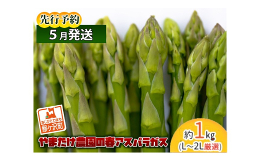 yX˃򒬁zAXpKX s\ tAXpKX 1kg L`2L I ܂_ AXp O[AXp  t t { {̖ ǂ Yn 2026N 2026 s \ X