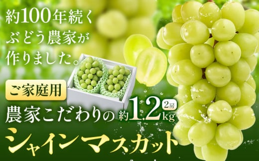 yRszy2026Ns\zVC}XJbg ƒp _Ƃ VC}XJbg 2[  1.2kg s2026N9{-10{o(yj)t Nini farm }XJbg 