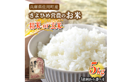 yɌpzyɌpYzЂ߉c_̂?5kg?3Iׂ?/