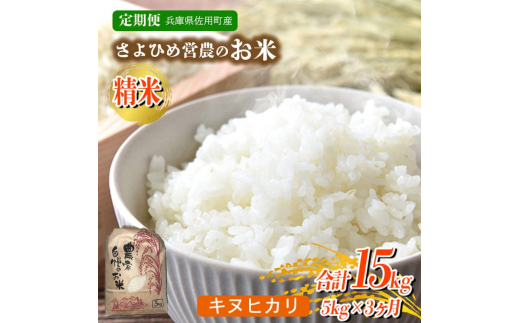 yɌpzy3ցzɌpY  5kg×3 (v15kg)  LkqJ