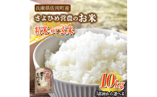 yɌpzyɌpYzЂ߉c_̂?10kg?3Iׂ?/