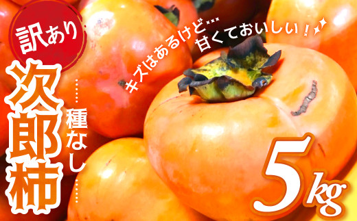 yOdCzyߘa7NY`/s\zs 󂠂 t5s Y` ˂Ȃ `  t[c ƒp 󂠂 KiO 킯 s ӂ낢 Ȃ ` s s\ Od C GF