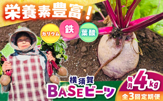 y_ސ쌧{szyS3ցz{BASEr[c 4kgi1kg×4܁jyqt@[z [AKCR004]