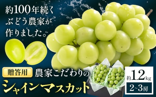 yRszy2026Ns\zVC}XJbg p _Ƃ VC}XJbg 2`3[  1.2kg s\s2026N9{-10{o(yj)t Nini farm }XJbg