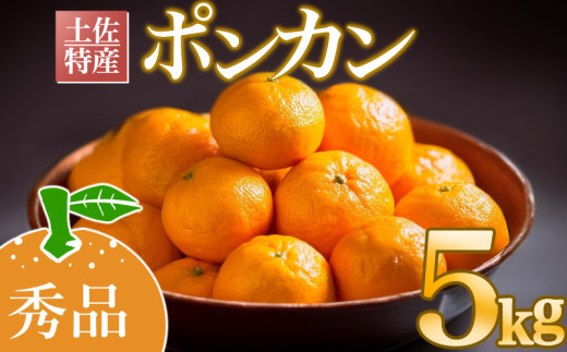早期予約受付開始】2026年1月下旬より順次発送 あわ地区 ポンカン 秀品