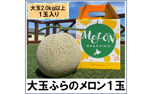 2025年発送】【ポプラファーム】富良野メロン（2kg以上 秀品 大玉1玉） - 北海道中富良野町｜ふるさとチョイス - ふるさと納税サイト