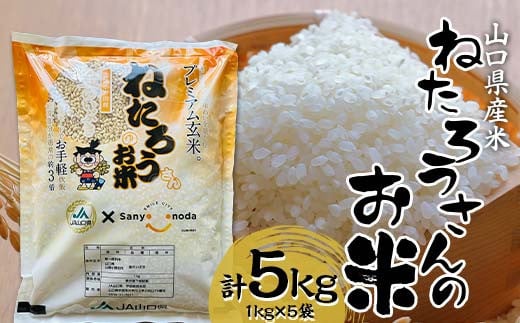 yRRzcsz˂낤̂āîԂāj 5kg  ̂Ԃ n O Hi F6L-1064