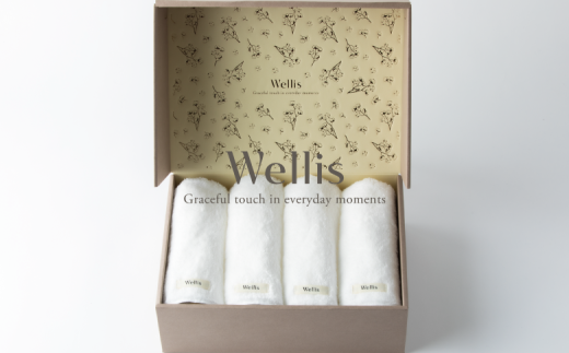 y{F撬zWellisyɏ̔SnztFCX^I4@MtgZbgi009_5038j