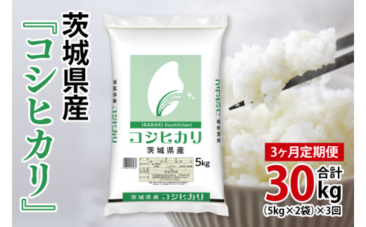 y錧ksz֗y3ցzv30kg @ߘa7NY 錧Y RVqJ10kg×3񕪁y R  Ђz(AL160)