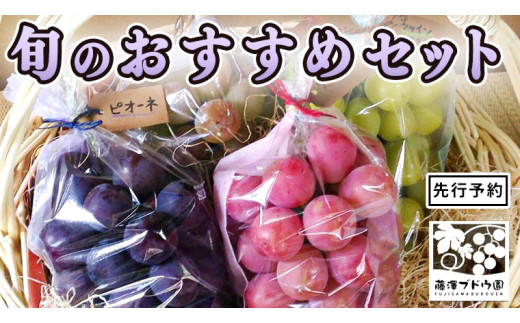 家庭用 高級 シャインマスカット 約4.8kg 6-8房 ぶどう ご家庭用》プレミアムぶどうシャインマスカット約1kg(3房前後)