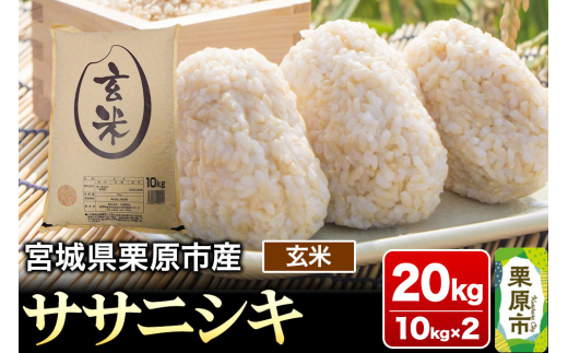 宮城県産 ササニシキ 10kg 玄米 20キロまで可
