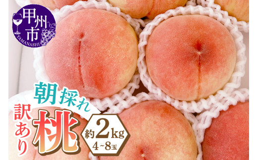 味自慢桃【訳あり品】を感謝込めて朝どれでお贈りします！約2kg