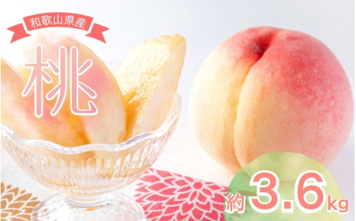 ふるさと納税 印南町 和歌山県産　桃(もも)　約1.5kg　秀品 和歌山県産 桃 5玉～6玉 約1.5kg 秀品［US35］ - 和歌山県印南町