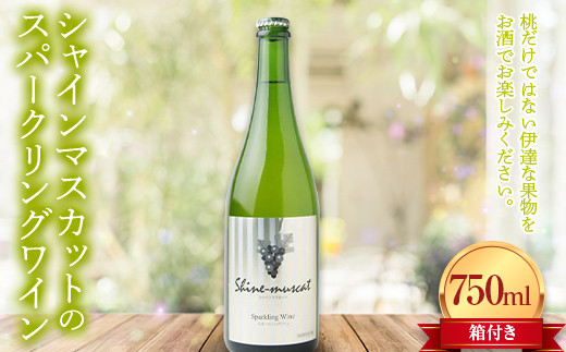シャインマスカットのスパークリングワイン箱付き750ml F20C-734