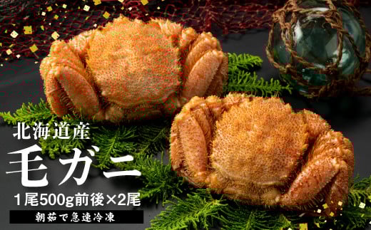 ykCbszykCYzwⓀxуKj500gO×2ty}Ⓚzy52002002z