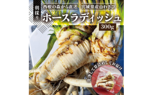 y{錧z̐X璼z[XfBbV(300g) {錧Y ̂_ƒ̎R킳сy1557228z