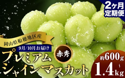 yRszԂǂ RDnY v~A VC}XJbg  ԏG 600g 700g 1.2kg 1.4kg 1[ 2[ 2 ʔ؉ʁs2026N9{-10oׁt }XJbg R s