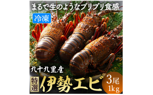 ytszɐCV hgp 3 1kg \㗢 VN hg hg   ^ Ⓚ Lbh ɐ CV CZGr Gr | Â Nx  ґ J  Mtg v[g