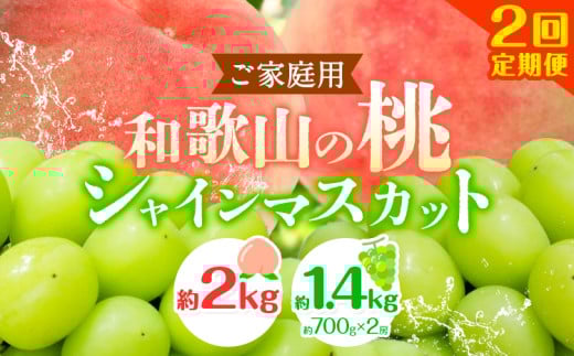 【和歌山県紀の川市】【2回定期便】【ご家庭用 訳あり】和歌山の桃 約2kg (6玉~8玉) 大粒 シャインマスカット 約1.4kg (約700g×2房) m&n果実園 《2026年6月中旬-10月上旬頃出荷》和歌山県 紀の川市