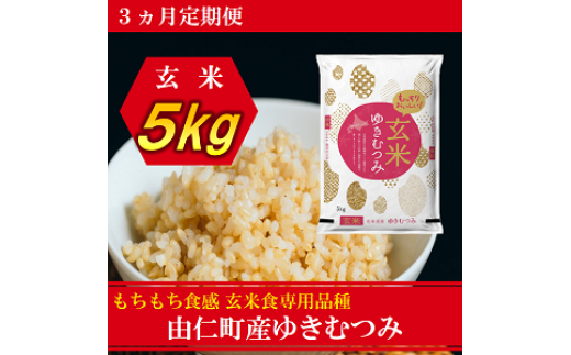 ykCRmzTT12@y3Jz䂫ނ݁@5kg@v15s