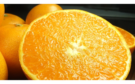 �y�a�̎R�����󒬁zV7410_���Ƃ� �G�i ��5kg �a�̎R���L�c�Y �t�݂��� �t���k (�ʎ��T�C�Y���܂���) / �I�ɍ��������q��{��