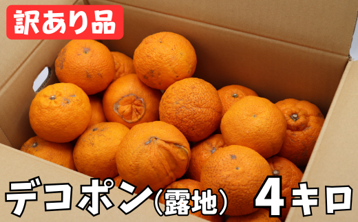 148愛媛県産 不知火 デコポン 家庭用 ９㎏ 148愛媛県産 不知火 デコポン 家庭用 9㎏