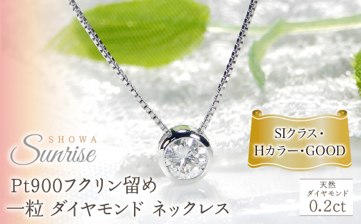 yRazpt900y0.2ctzHJ[ tN ꗱ _Ch lbNX CSN00169-pt SWAV041bR a WG[ ANZT[ Mtg v[g 蕨 LO a JW