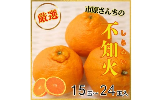 y߉͓zIIs񂿂̕sm(ʂ)@1(15ʁ`24ʓ) 2026N3{甭@s