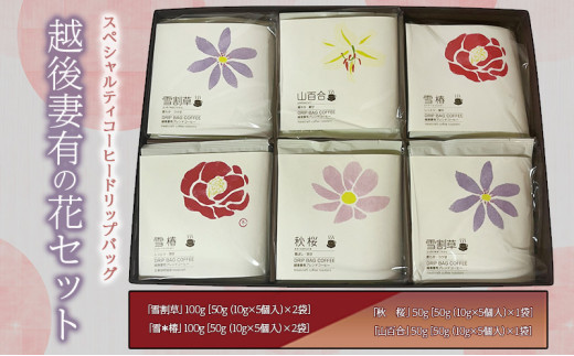 yV\szXyVeBR[q[hbvobOuzȗL̉ԁvZbg [DB6]