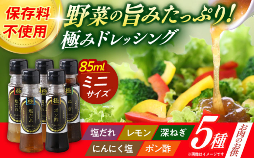 y茧呺sźuɂ݁vhbVO~j 85ml×5{Zbg ̂ɃZbg / hbVO  T_ / 呺s / ނ疲t@[VV [ACAA403]