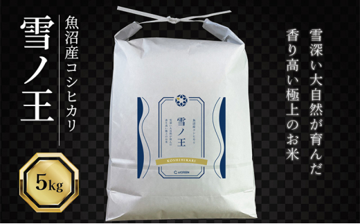 yVsz[5762-1214]ߘa7NY YRVqJ m  5kg    Ђ  V