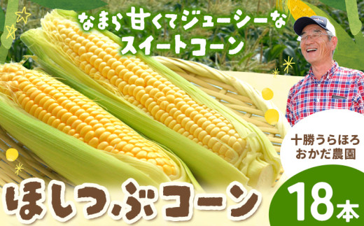 ykCYyzy2026Ns\z܂ڂ낵́uقԃR[v18{ W{TCY Ƃ낱 _ kC YyY y7]8{oׁz SS ͔̍| 