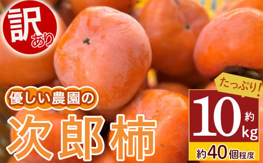 令和7年産柿/先行予約】優しい農園の訳あり次郎柿 10kg 次郎柿 たねなし 柿 かき フルーツ 家庭用 訳あり 規格外 わけあり 不揃い ふぞろい  種なし 干し柿 先行 先行予約 三重県 多気町 YSN-01 - 三重県多気町｜ふるさとチョイス - ふるさと納税サイト