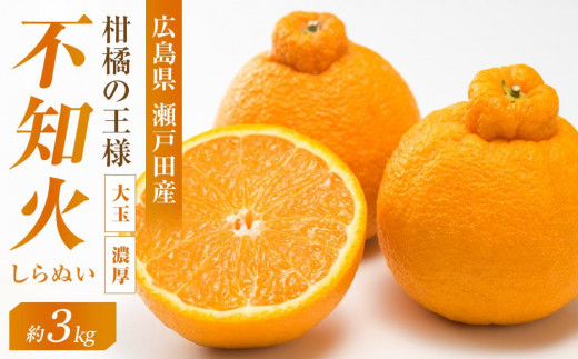 柑橘の王様 大玉・濃厚な不知火（しらぬい）3kg ＜2026年3月中旬より